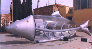 12 m inflatable fish