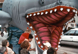 Shark inflatable front view